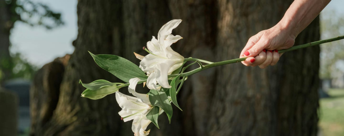 A Gift In loving Memory